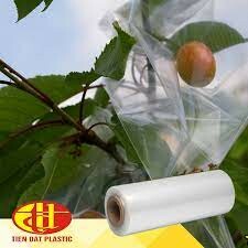 Nhựa Tiến Đạt 2