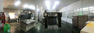 Nguyễn Quang Huy 8