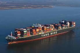 Yang Ming Shipping (Việt Nam) 7