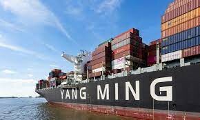 Yang Ming Shipping (Việt Nam) 6