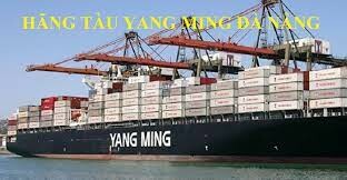 Yang Ming Shipping (Việt Nam) 1