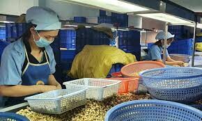 CÔNG TY  HỒNG ĐỨC 5