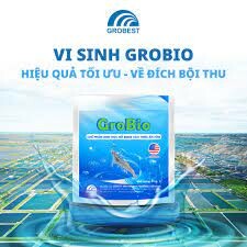 Grobest Industrial (Việt Nam) 1