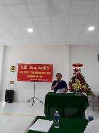 Quadrille Việt Nam 9