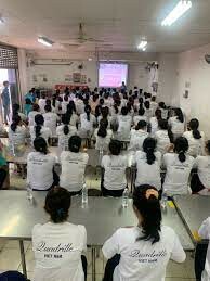 Quadrille Việt Nam 7