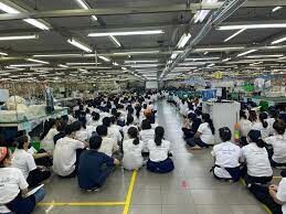 Quadrille Việt Nam 6