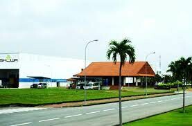 Showa Gloves Việt Nam 10