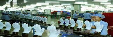 Showa Gloves Việt Nam 4