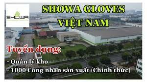 Showa Gloves Việt Nam 3
