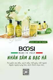 Vẻ Đẹp Việt 6