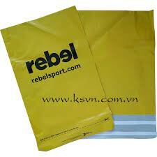 Nhựa Quốc Tế KSVN 10