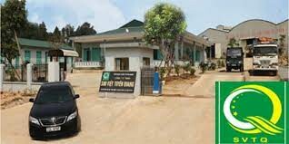 Sao Việt Tuyên Quang 8