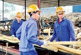 Sao Việt Tuyên Quang 7