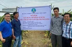 Giám Định Saigoncert 4