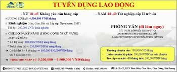 Meiko Towada Việt Nam 1