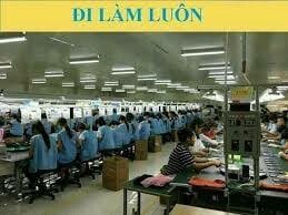 Microtechno Vietnam 9