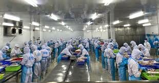 Bánh Takoyaki Toàn Cầu (GTB) 9