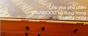 Vinawood 9
