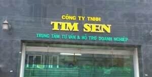 Tim Sen 8