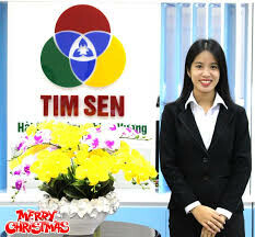 Tim Sen 6
