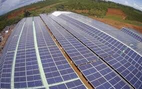 Create Capital Việt Nam 8