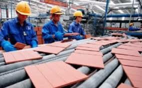 Create Capital Việt Nam 4