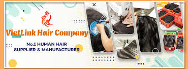 Vietlink Hair 10