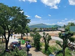 Phát Long Phước 6