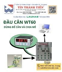 Tín Thành Tiến 10
