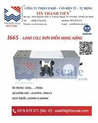 Tín Thành Tiến 4