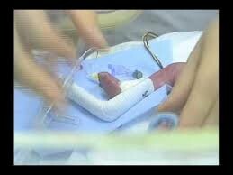 Forte Grow Medical (Việt Nam) 5