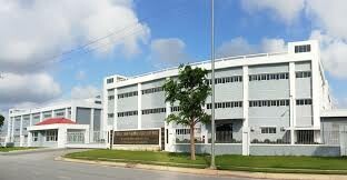 Perennial Cable (Việt Nam) 10