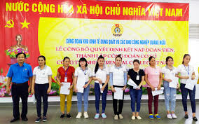 Perennial Cable (Việt Nam) 9