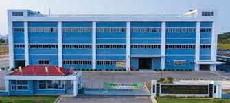 Perennial Cable (Việt Nam) 8