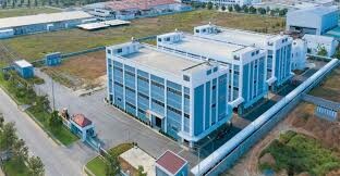 Perennial Cable (Việt Nam) 7