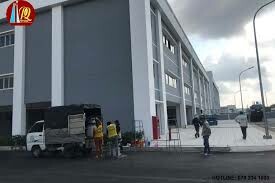 Perennial Cable (Việt Nam) 2