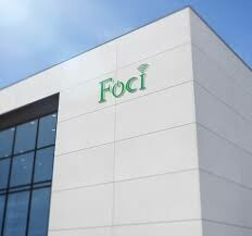 FOCI LIGHTING VIỆT NAM 1