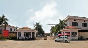 Công Ty TNHH Đỉnh Vàng 6