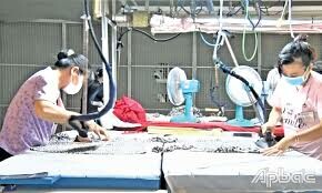 MAY MẶC ECO TANK 1