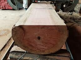 Gỗ Việt Âu Mỹ 4