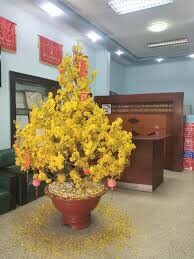 Tư Vấn Xây Dựng Công Trình 625 5