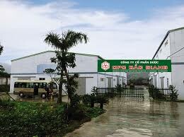 Dược Phẩm OPC 8