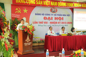 Công ty Cổ phần Hoà Việt 1