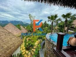 Công Ty TNHH Phát Triển Thương Mại MTP 10