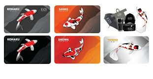 Công Ty TNHH Phát Triển Thương Mại MTP 5