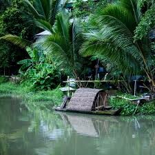 Dìn Ký Lái Thiêu 6