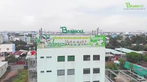 Bamboo 4