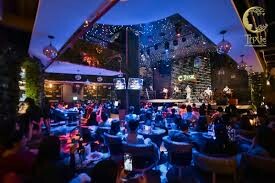 Trixie Cafe & Lounge 1