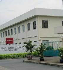 Hatchando (Việt Nam) 10