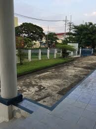 Hatchando (Việt Nam) 9